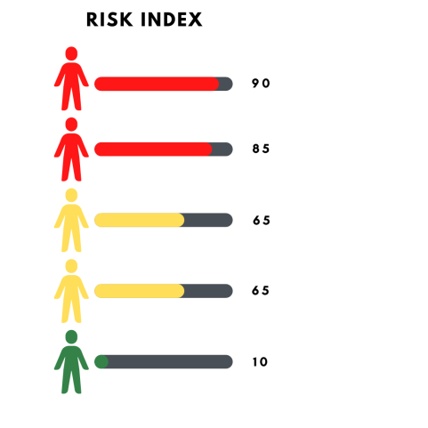 Risk Index graphic